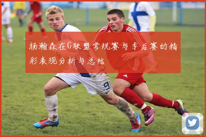 杨瀚森在G联盟常规赛与季后赛的精彩表现分析与总结